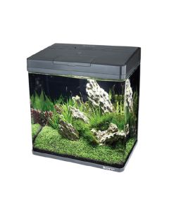 حوض السمك ام اس سيرييس من بويو، 31 لتر، 400 × 230  × 450 سم