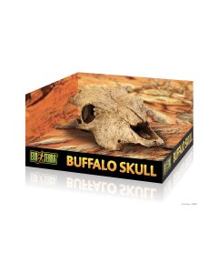 Exo Terra Buffalo Skull 