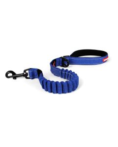 EzyDog Zero Shock Dog Lead 25"