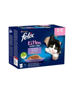 طعام القطط الصغيرة بالجلي بعبوات متعددة من فليكس  