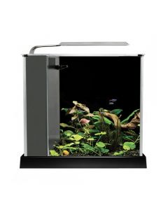 Fluval Spec Glass Aquarium Kit - 10 liter (2.6 US gal) - Black - 27.5L x 30W x 22.3H cm