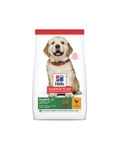 Hill's Science Plan Large Breed Puppy Food with Chicken