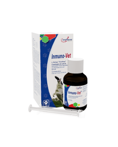 InnoPharma Immuno-Vet Pet Nutritional Supplement - 50 ml