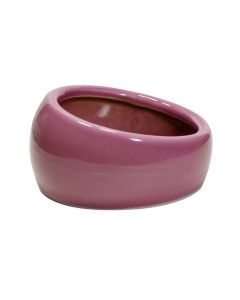 Living World Ergonomic Dish Pink