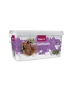 Pavo GutHealth for Horse 