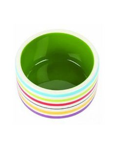 Pet Platter Rainbow Pet Bowl