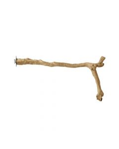 Prevue Y-Shape Coffea Wood Perch, 24"