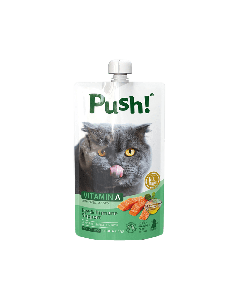 Push Eye and Immune Support Salmon with Vitamin A Cat Food Pouch - 110 g