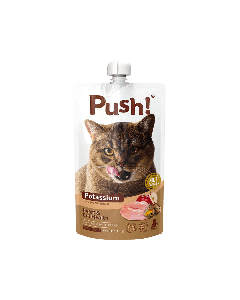 Push Heart and Gut Health Chicken with Potassium Cat Food Pouch - 110 g