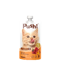 Push Muscle Maintenance Chicken with Vitamin H Cat Food Pouch - 110 g