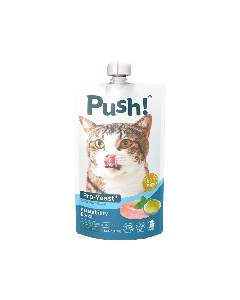 Push Palatability Boost Chicken with ProYeast Cat Food Pouch - 110 g