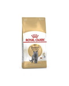 Royal Canin British Shorthair Adult Cat Dry Food - 4kg