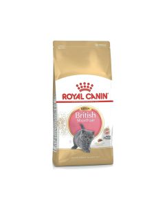 Royal Canin British Shorthair Dry Kitten Food