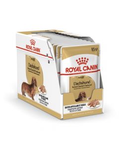 Royal Canin Dachshund Breed Health Nutrition Wet Dog Food Pouches - 85 g x 12 pcs