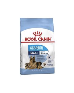 Royal Canin Maxi Starter Dry Dog Food - 4 kg