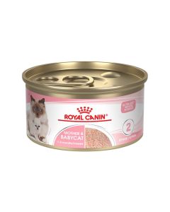 Royal Canin Mother and Babycat Mousse in Sauce Canned Cat Food - 195 g