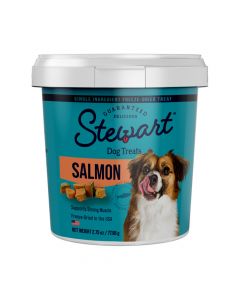 Stewart Pro-Treat Wild Salmon Dog Treats, 2.75 oz