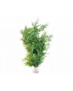 Sydeco Aquaplant Bamboo Flexible XL