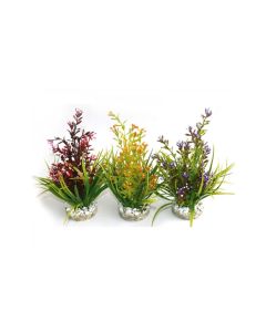 Sydeco Flowering Plant, 18 cm - Assorted