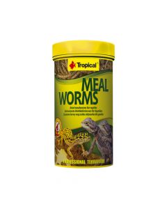 Tropical Meal Worms - 13g