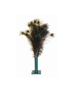 Vee Natural Peacock Feathers Cat Toy