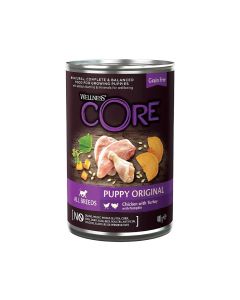 Wellness CORE Grain Free Chicken, Turkey & Pumpkin Recipe Wet Puppy Food, 400g 
