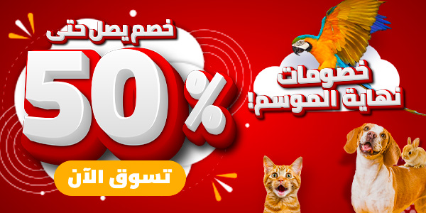 Kuwait Offer Feb 30% 